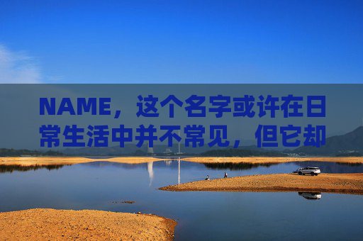 NAME，这个名字或许在日常生活中并不常见，但它却在某些领域里扮演着重要的角色。今天，让我们一起来探索这个名字背后的故事和意义